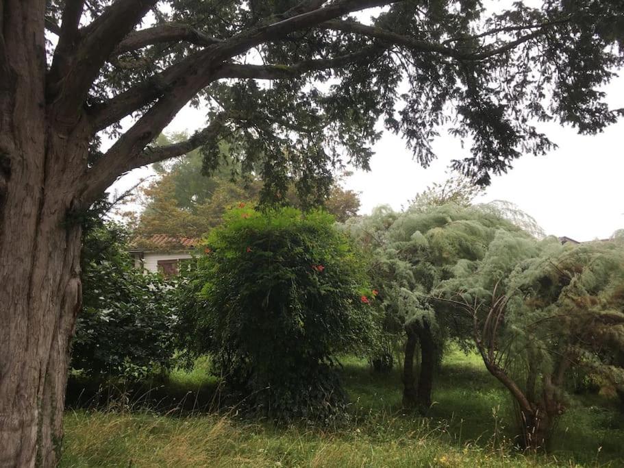 Lerable Pourpre De La Grotte Au Lion Villa Arbon Bagian luar foto